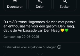 Logo van de Ambassade van Den Haag met groene en gele elementen.