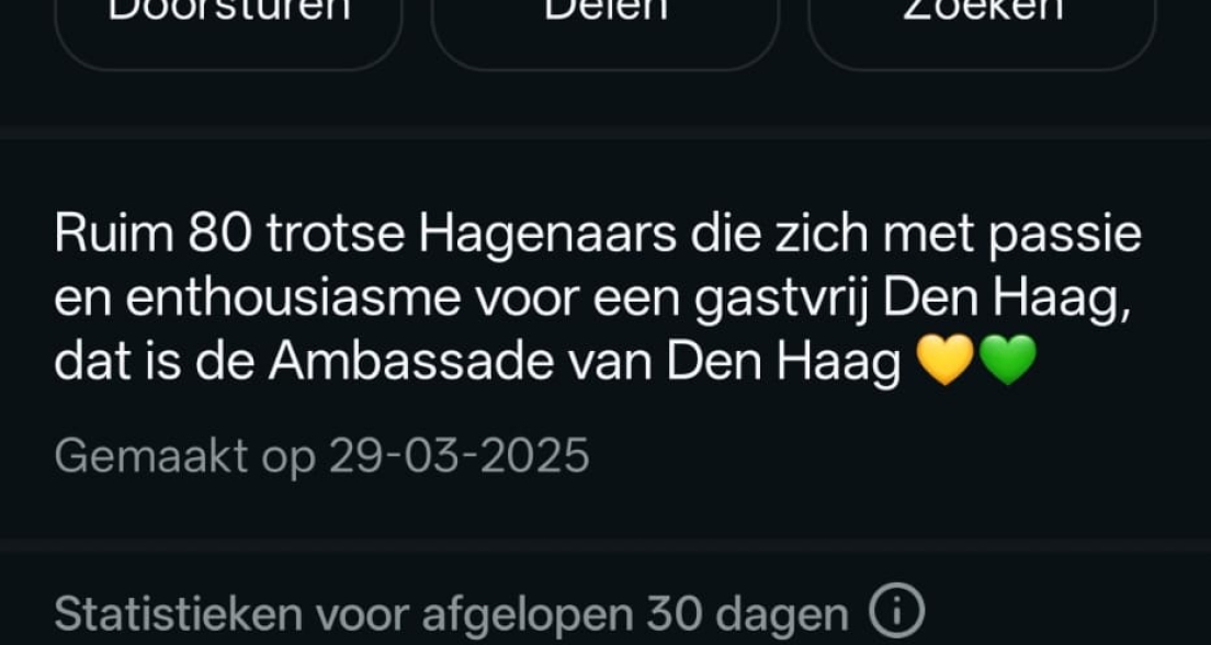 Logo van de Ambassade van Den Haag met groene en gele elementen.